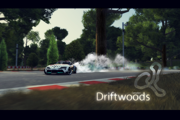 Drift Woods